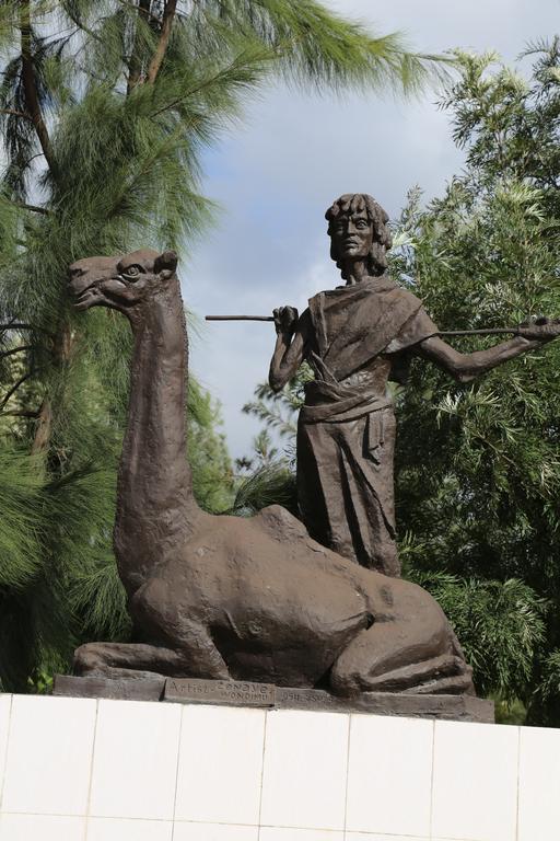 Afarensis International Hotel Addis Abeba Esterno foto